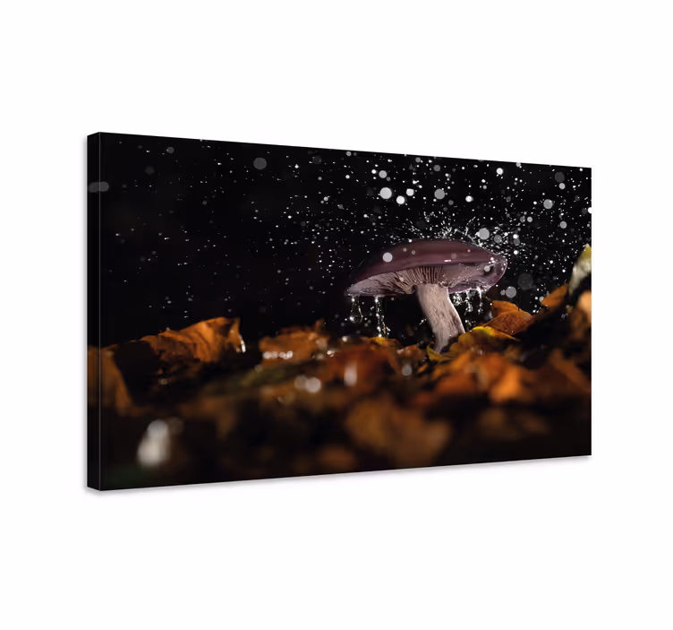 Sieniroiske kukka ja kasvi canvas taulu - Tenstickers