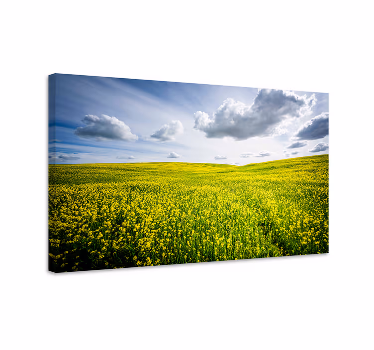 Värikäs keltainen pelto maisema canvas taulu - Tenstickers