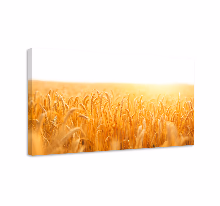 Kultainen vehnäpelto kukka ja kasvi canvas taulu - Tenstickers
