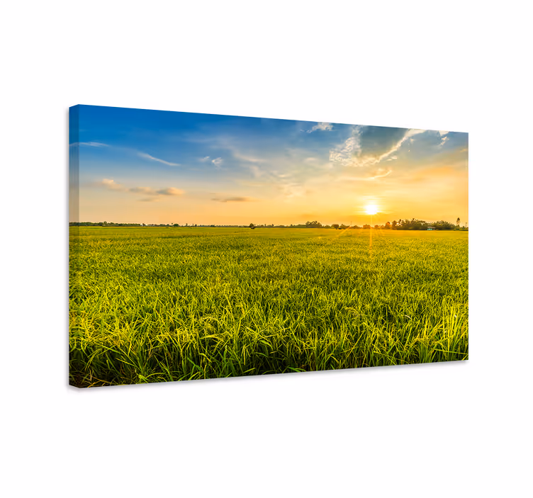 Auringonlasku peltojen yli maisema canvas taulu - Tenstickers