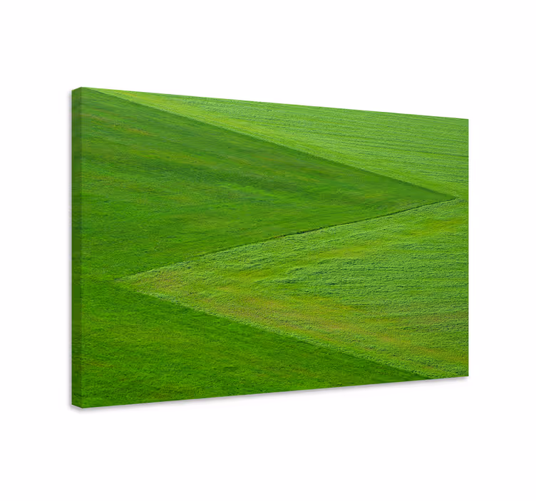 Vihreä runsas maisema canvas taulu - Tenstickers