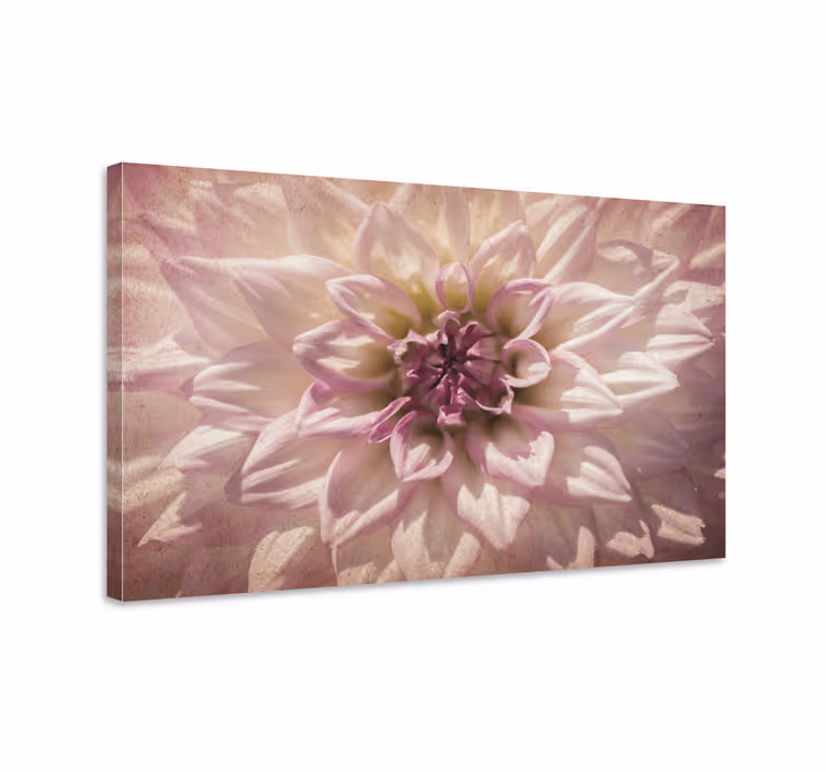 Herkät kukkakeskukset canvas-tauluna - Tenstickers