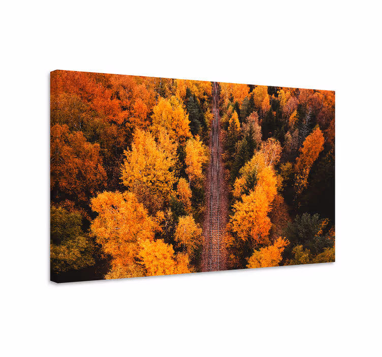 Syksyn lehvästön polku maisema canvas taulu - Tenstickers