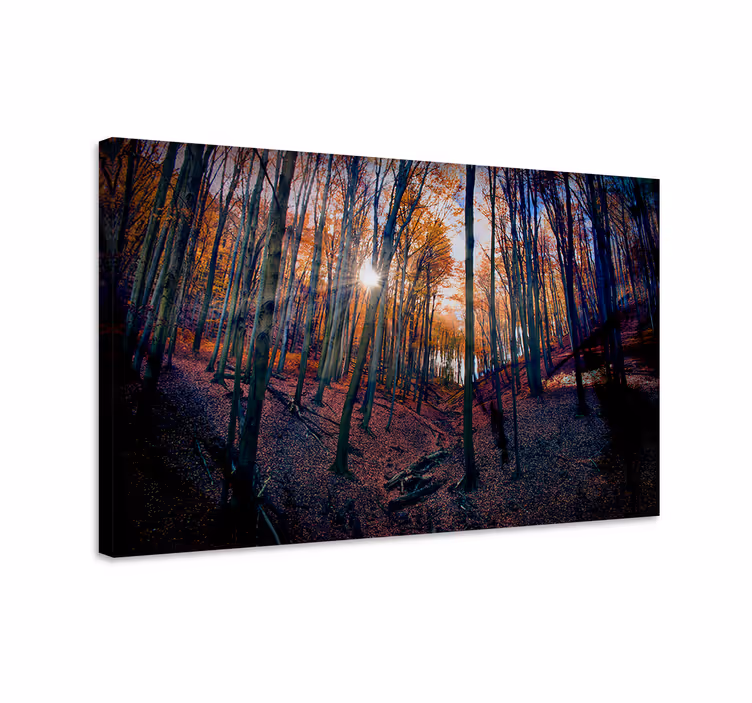 Syksyinen metsävalo maisema canvas taulu - Tenstickers