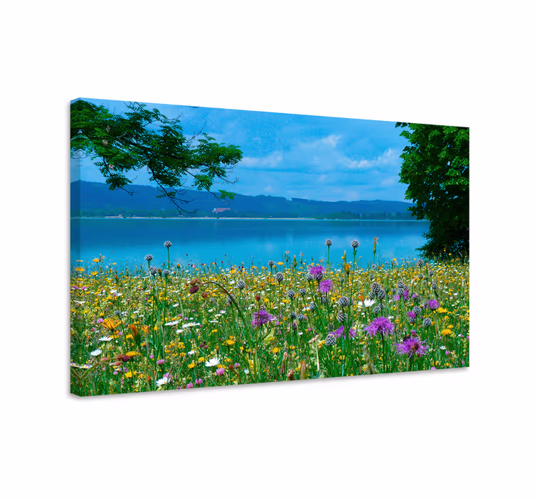 Kukkiva niittynäkymä canvas taulu - Tenstickers