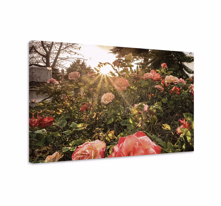 Säteilevät ruusut canvas taulu - Tenstickers