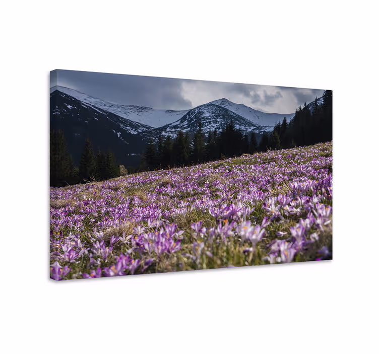Violetti kukkaisa niitty canvas taulu - Tenstickers