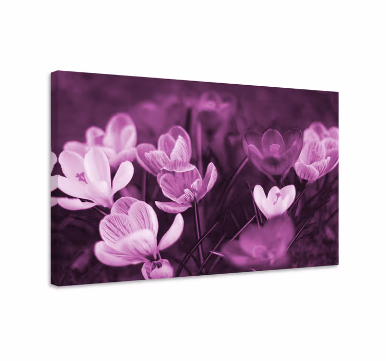 Kaunis vaaleanpunainen krookuksen kukka canvas taulu kukka - Tenstickers
