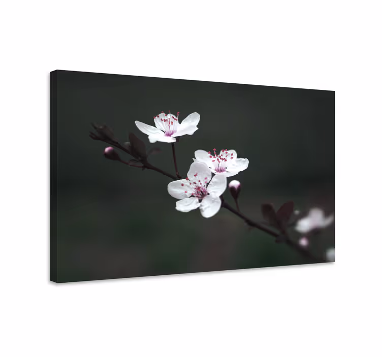 Herkkä kukka ja kasvi canvas taulu - Tenstickers