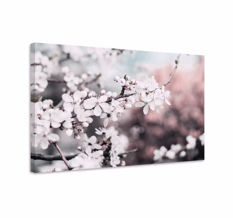 Naiselliset valkoiset kirsikankukat canvas taulu kukka - Tenstickers