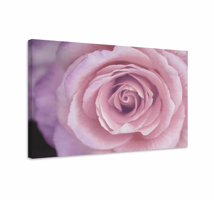 Vaaleanpunainen kukkakuva canvas-taulu - Tenstickers