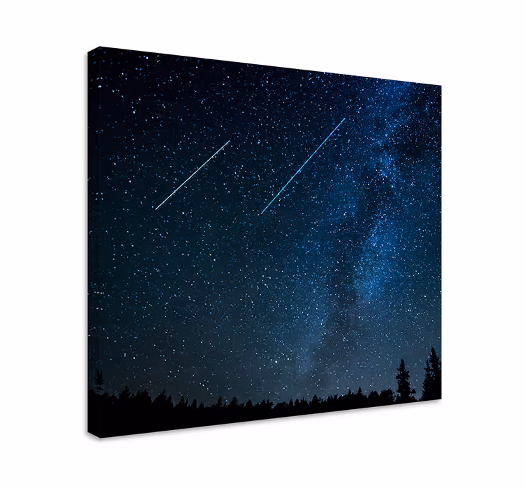Kaunis tähdenlento maisema canvas taulu maisema - Tenstickers