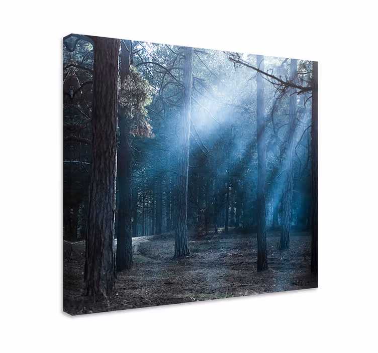 Hämyinen metsäpolku canvas taulu - Tenstickers