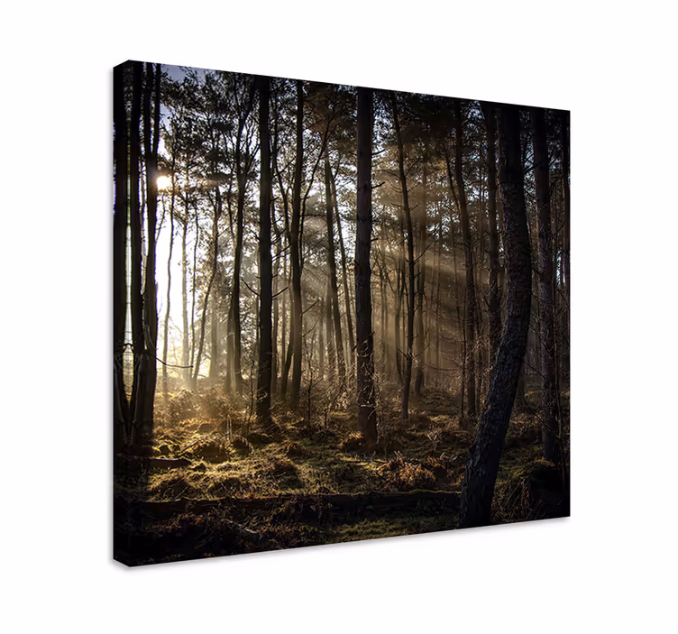 Lumoava metsämaisema canvas taulu maisema - Tenstickers