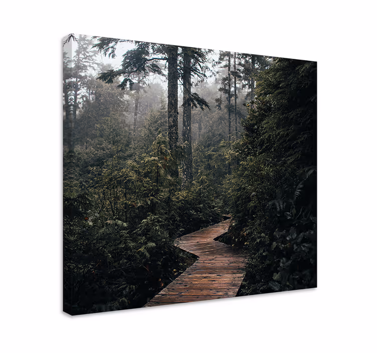 Rauhallinen metsäpolku maisema canvas taulu - Tenstickers