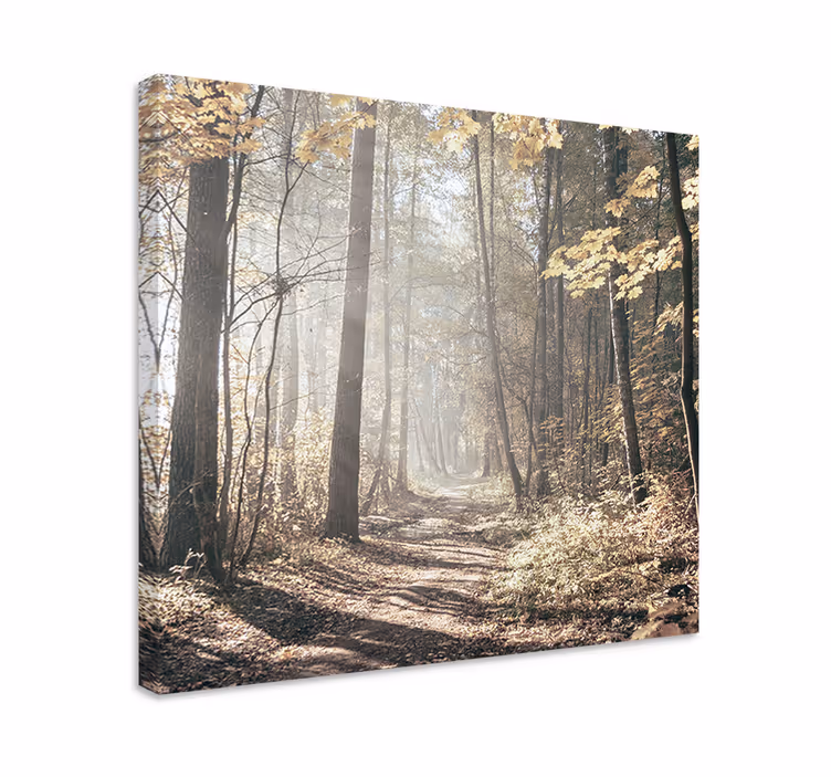 Sumuinen polku maisema canvas taulu - Tenstickers