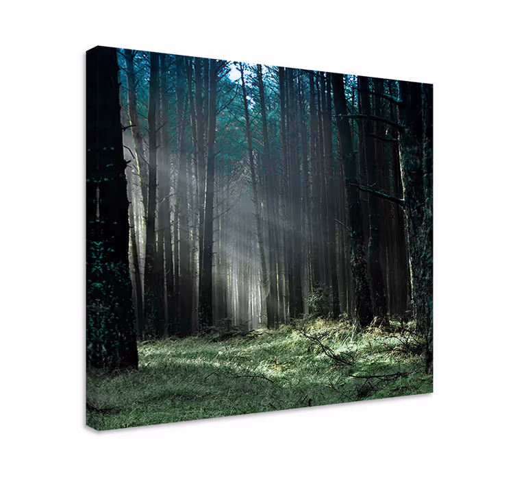 "luonto" sininen sumumetsä puu canvas - Tenstickers