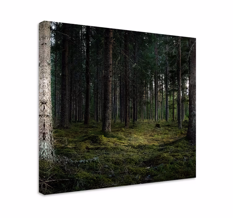 Rauhalliset metsän syvyydet puu canvas taulu - Tenstickers