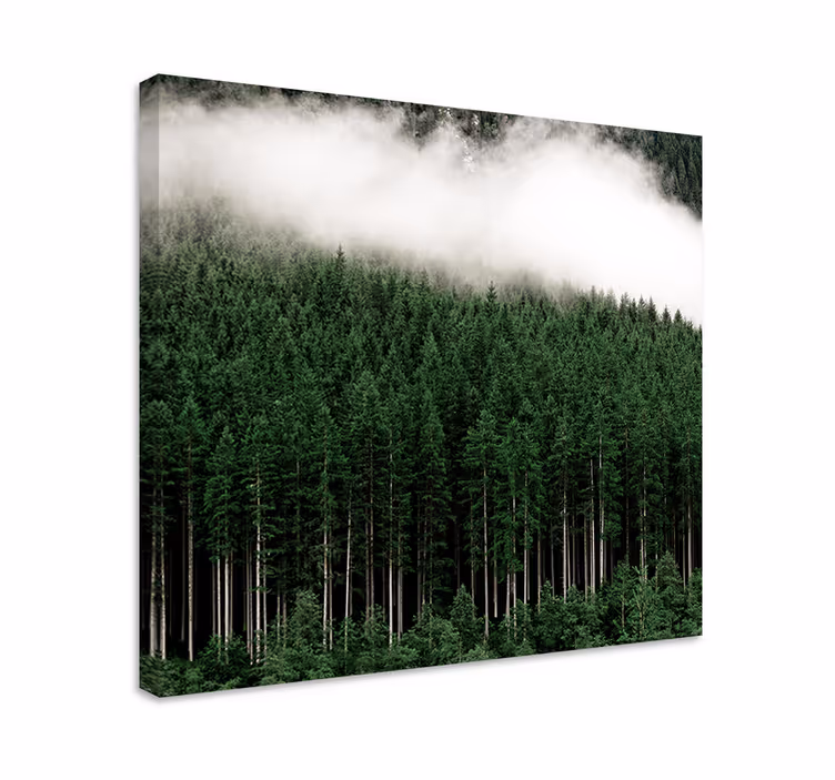 Sumuinen ikivihreä metsä puu canvas taulu - Tenstickers