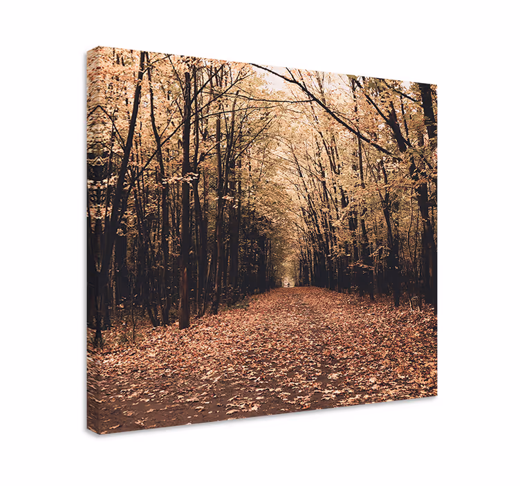 Luonto kaunis metsä syksyllä puu canvas - Tenstickers