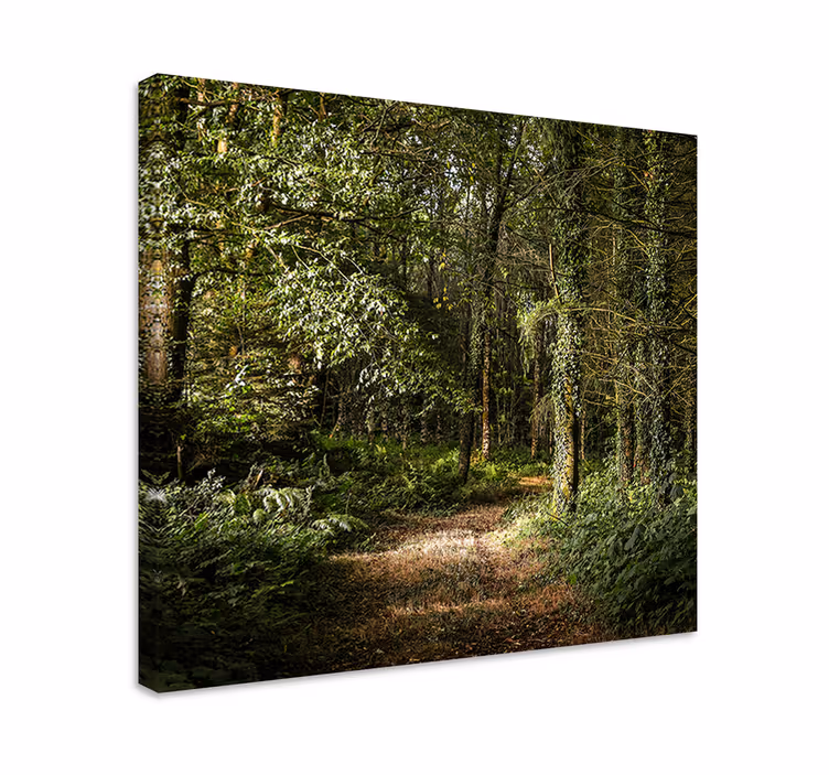 Metsäpolun maisema canvas taulu - Tenstickers