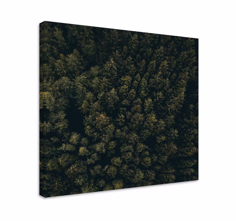 Vihreä metsäkatto puu canvas taulu - Tenstickers