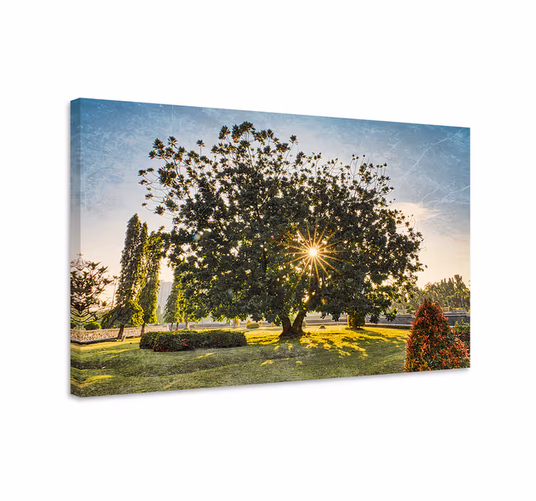 Majesteettinen puu siluetti canvas taulu - Tenstickers