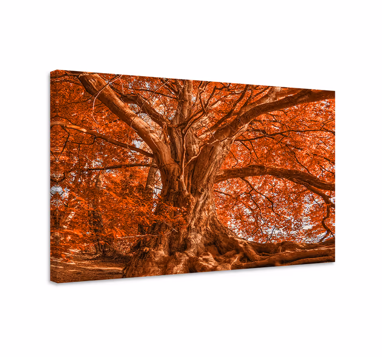 Iso kaunis syyspuu canvas taulu maisema - Tenstickers