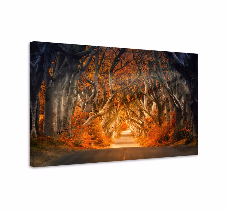 Salaperäinen syksyn polku maisema canvas taulu - Tenstickers
