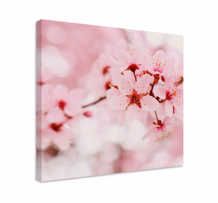 Pink bloom valokuvataidetta canvas taulu kukka - Tenstickers