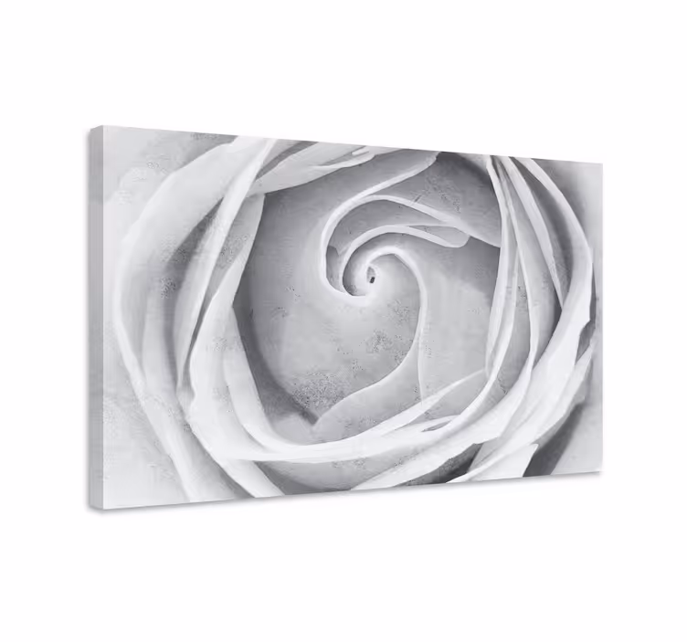 Elegantti ruusu spiraali canvas taulu - Tenstickers