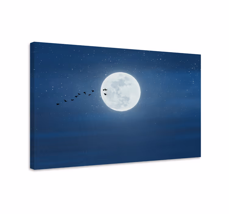 Kuutamo lento maisema canvas taulu - Tenstickers