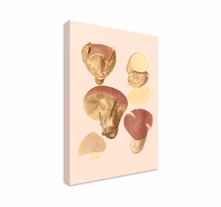 Sienikokoelma kukka ja kasvi canvas taulu - Tenstickers
