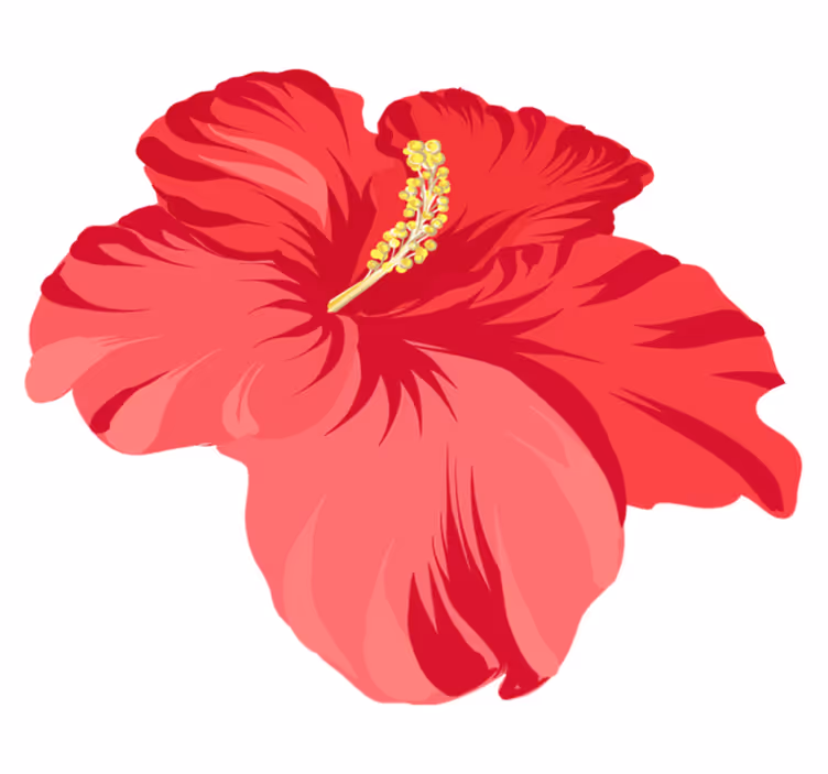 Punainen hibiskuskukka vinyylimatto - Tenstickers