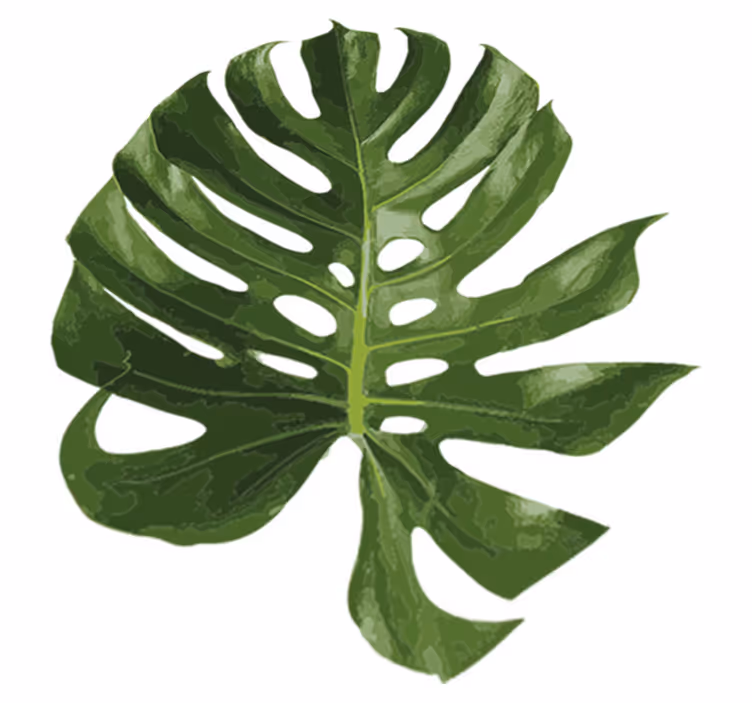 Herkkä monstera-lehti vinyylimatto - Tenstickers