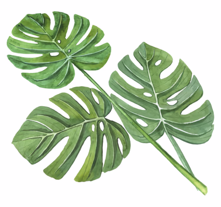 Monstera akvarellilehdet kukka vinyylimatto - Tenstickers