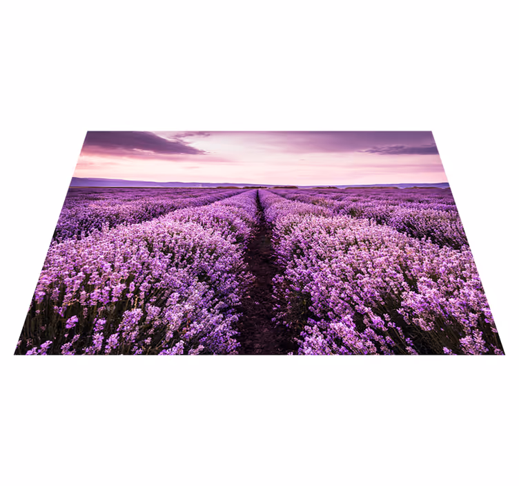 Laventelinkukkakuva provencessa violetti vinyylimatto - Tenstickers