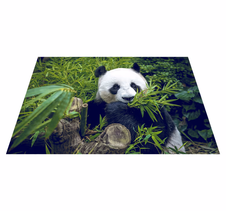 Panda suloisuus vihreä vinyylimatto - Tenstickers