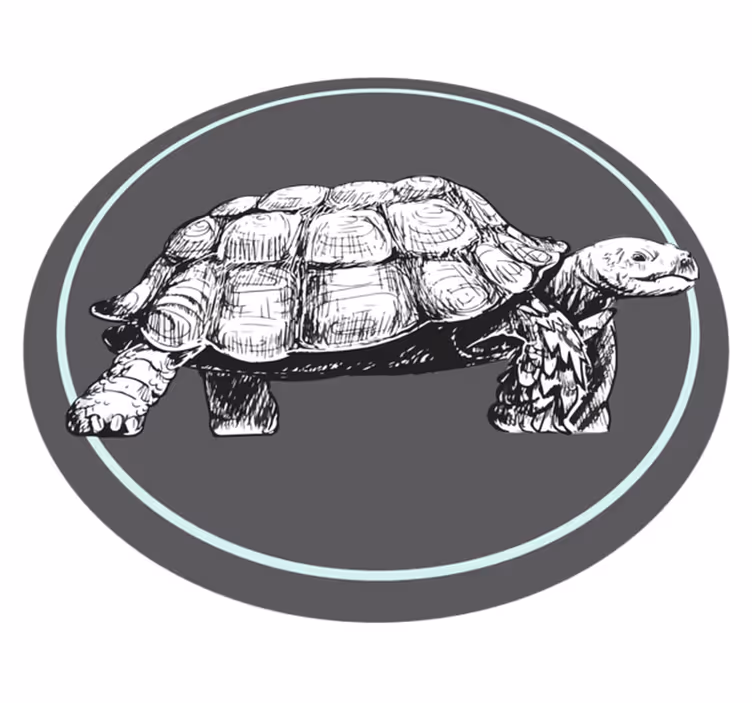 Kuvitettu kilpikonna eläin vinyylimatto - Tenstickers