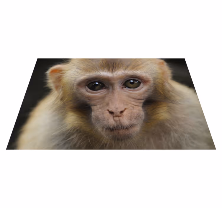 Realistinen apina eläin vinyylimatto - Tenstickers