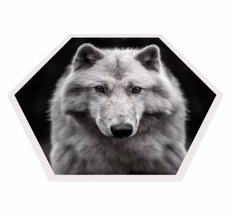 Susi muotokuva eläin vinyylimatto - Tenstickers