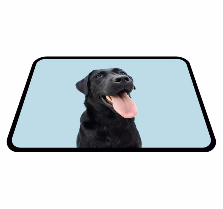 Musta labradorinnoutaja eläin vinyylimatto - Tenstickers