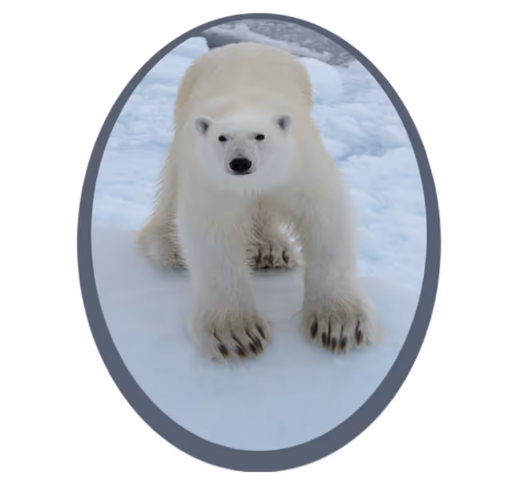 Jääkarhun kuva eläin vinyylimatto - Tenstickers