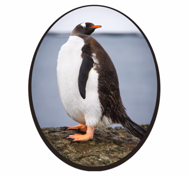 Pingviinin asento eläin vinyylimatto - Tenstickers