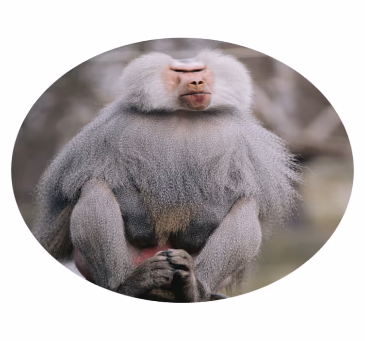 Eläin viileä apina eläin vinyylimatto - Tenstickers