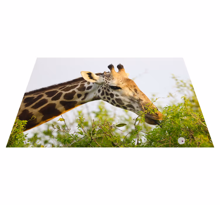 Eläin pitkä kirahvi vinyyli matto eläin vinyylimatto - Tenstickers