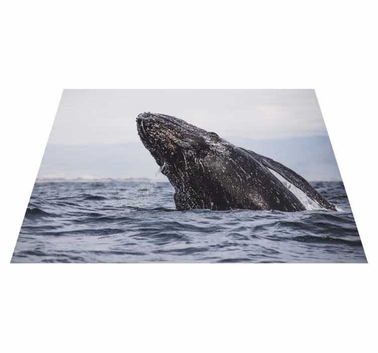 Majesteettinen valaanloikka luonto vinyylimatto - Tenstickers