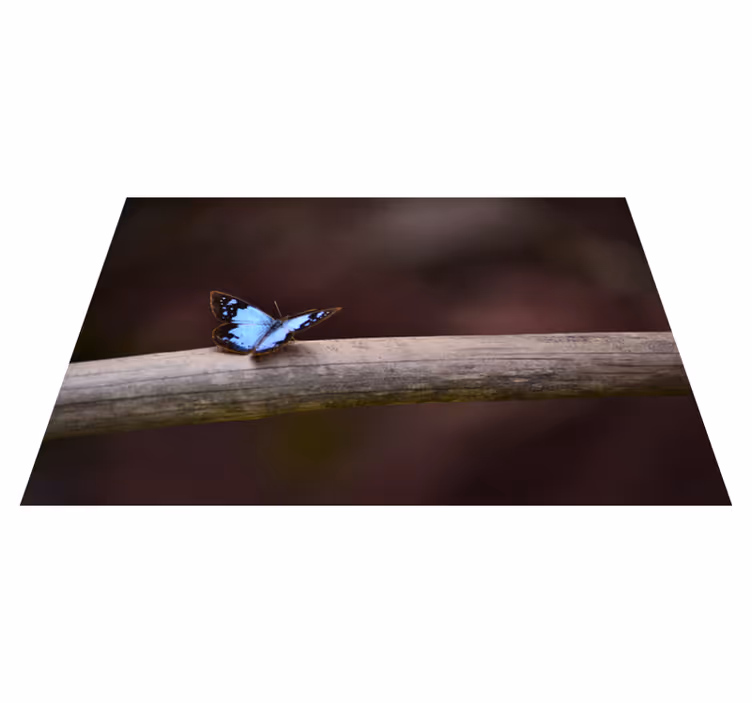 Perhonen oksalla luonto vinyylimatto - Tenstickers