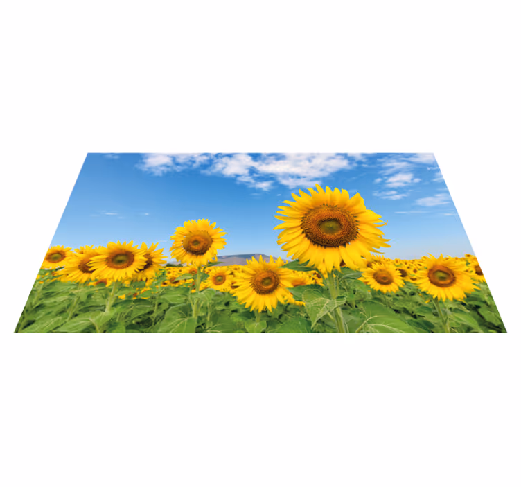 Auringonkukka kenttä kukka vinyylimatto - Tenstickers