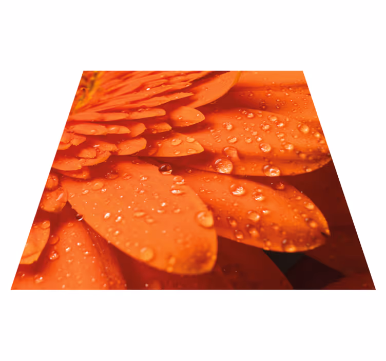Oranssi kukka lähikuva kukka vinyylimatto - Tenstickers